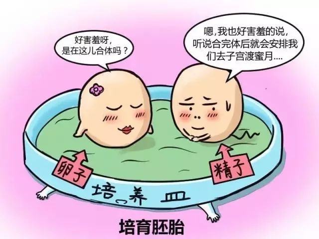 一、二、三代试管婴儿有什么区别？试管必须知