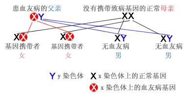 第三代试管婴儿技术：PGS和PGD的区别有哪些