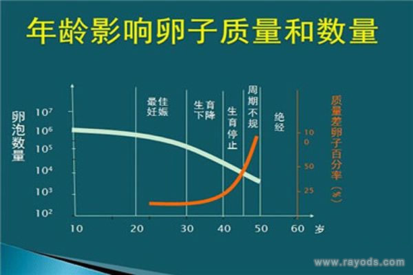 提高试管婴儿成功率的5个最佳技巧。