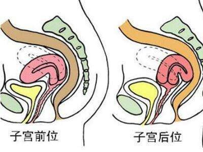 双胞胎三代试管婴儿公司-怀孕前发现的甲状腺结节有什么影响吗？