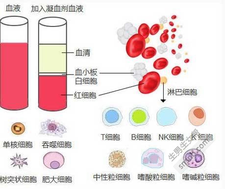 这就是不能生男孩的三类人! 准父母应该看一看