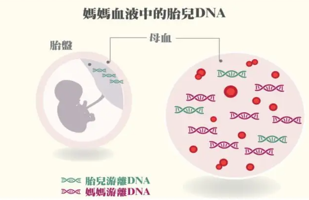 在香港，血液测试中的Y意味着是个男孩吗？不一定。